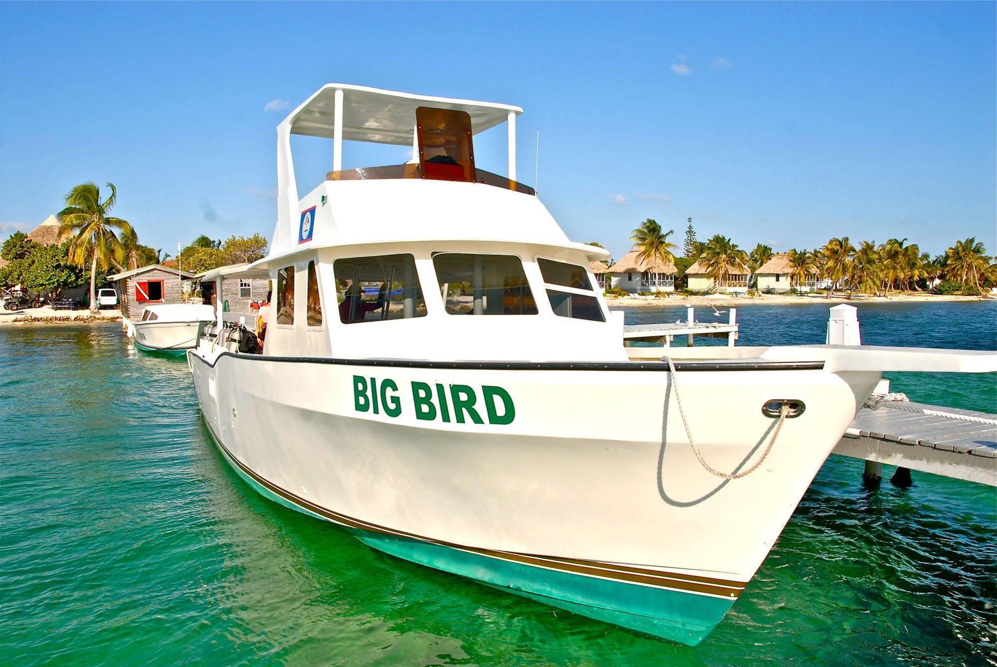 Blackbird Caye Resort Turneffe Atoll Exterior foto